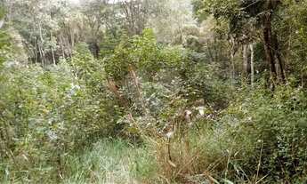 Imagem 6: Terreno Residencial Venda - 1070 m², excelente localização - Serra da Cantareira - Mairipo