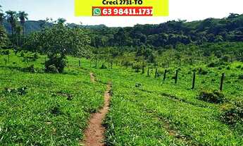 Imagem 7: Fazenda de Cultura em Palmas pecuária