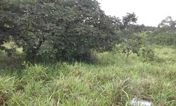 Imagem 7: Linda fazendinha de 135.000 m², Jaboticatubas (Temos várias opções)