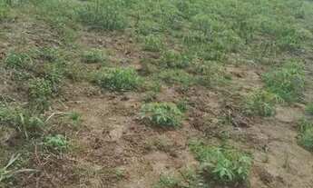 Imagem 5: 100 hectares com igarapé a margem da rodovia próximo a Belém