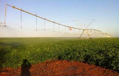 Imagem 4: Fazenda de alta produção de Leite