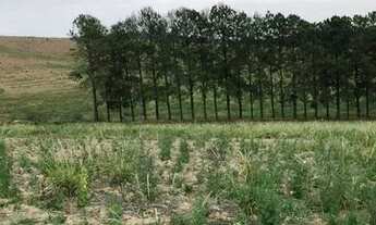 Imagem 5: 22an- Comece o dia comprando Terreno!!