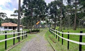 Imagem 5: Chácara em Campo Alegre/SC