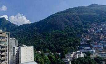 Imagem 4: Apartamento - Aluguel - Rua das Palmeiras - Botafogo