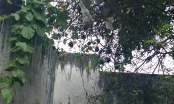 Imagem 4: São Paulo - Casa Padrão - <br> Vila Picinin