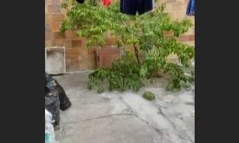 Imagem 4: Vendi casa em Porço verde