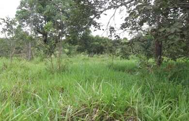 Imagem 4: Linda fazendinha de 135.000 m², Jaboticatubas (Temos várias opções)