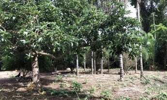 Imagem 2: Petrolina de Goiás - Casa Padrão - <br> Setor Central