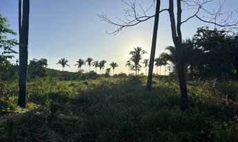 Imagem 4: FAZENDA A VENDA EM VARGEM GRANDE