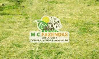 Imagem 6: Fazenda à Venda em Marcionilio Souza - Bahia | As Margens do Rio Paraguaçu