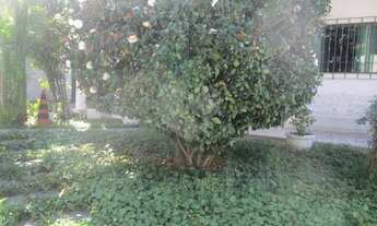 Imagem 7: São Paulo - Casa Padrão - BARRO BRANCO (ZONA NORTE