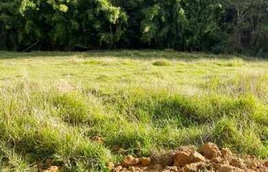 Imagem 5: LL-Vende-se terreno com excelente preço