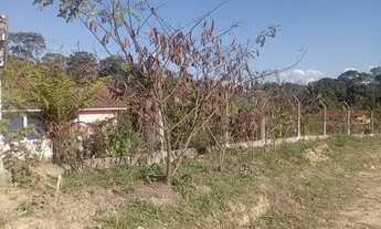 Imagem 3: Chácara em Mandirituba