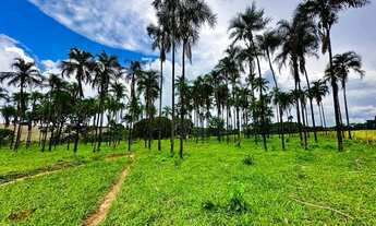 Imagem 4: 3,5 alqueires Chácara com venda por R$2.000.000