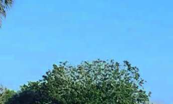 Imagem: Belíssimo sítio para locação. 3 mil