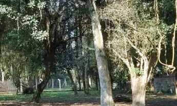 Imagem 7: Velleda oferece lindo sítio 6700m², figueira centenária e açude, condomínio em Águas Clara