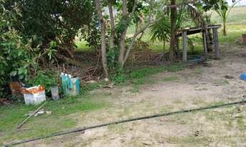 Imagem 3: Vendo se chácara