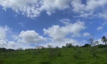 Imagem 5: Sua casa de veraneio no interior de São Paulo - São Roque