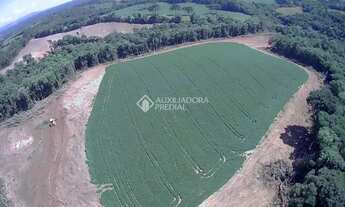 Imagem 3: TERRENO À VENDA NA LAGOA SUJA ARAUCÁRIA
