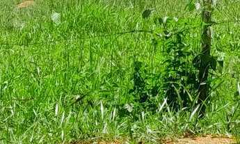 Imagem 4: Terreno em Local Tranquilo bairro Tiradentes