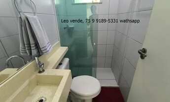 Imagem 7: Leo vende, Papagaio, 2