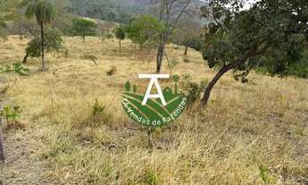 Imagem 5: Fazenda de 17 alq em Goias-GO