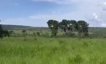 Imagem 5: Vende-se uma excelente fazenda de 1.100 hectares
