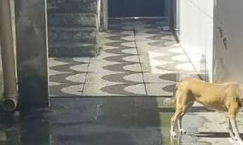 Imagem 3: VENDE-SE CASA NO ALTO DO PASCOAL