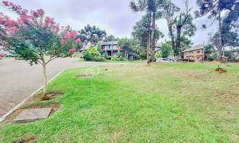 Imagem 4: TERRENO ESQUINA À VENDA ALTOS PINHEIROS/ CANELA