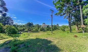 Imagem 7: Vendas Chácara Mandirituba PR