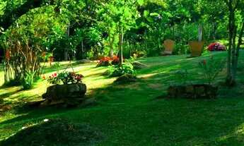 Imagem 6: Lindo Sitio - 6 Ha. - Bairro Castro