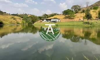 Imagem 11: Fazenda de 17 alq em Goias-GO