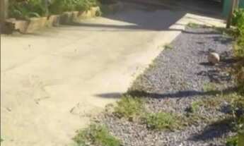 Imagem 3: Aluguel pra quem trabalha com mecânica e elétrica de autos