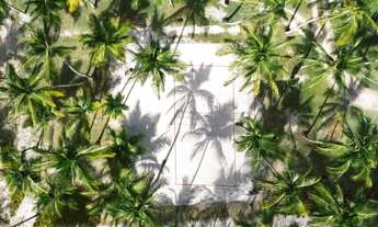 Imagem 5: Pé na Areia - Alameda do Araripe