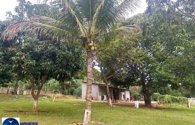 Imagem 7: Excelente Chácara em Bela Vista - GO! 1 Alqueire ! Com lazer