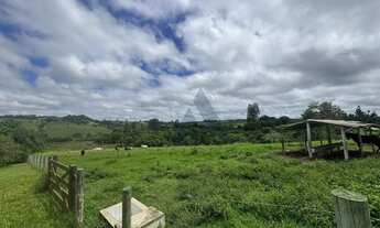 Imagem 3: Sítio com 3 dormitórios à venda, 196020 m² - Jardim Querência Do Turvo - Capão Bonito/SP