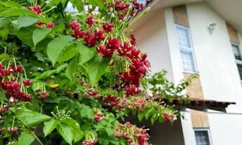 Imagem 3: Casa Duplex 4Qtos sendo 3 Suítes| CD FECHADO| Com Área Externa