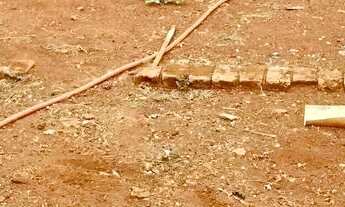 Imagem 4: Imóvel para venda com 200 metros quadrados com 1 quarto em Setor Central - Brazabrantes