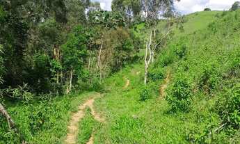 Imagem 7: Vendo Área Rural em excelente localização