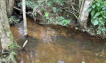 Imagem 2: Sítio lazer completo a 40 min de Goiânia