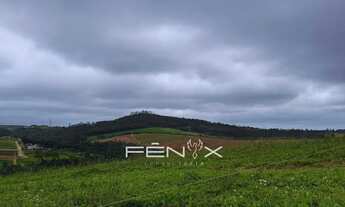 Imagem 2: Casa de condomínio para venda com 500 metros quadrados