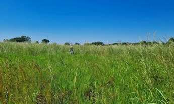 Imagem 6: Fazenda Premium a 95 km de Cuiabá: Estrutura Completa e Pastagens Formada