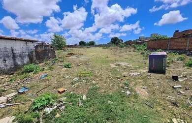Imagem: Lote à venda em rua pública, ROSA ELZE