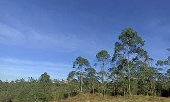Imagem 6: Lote/Terreno para venda possui 500 metros quadrados em Verava - Ibiúna - SP