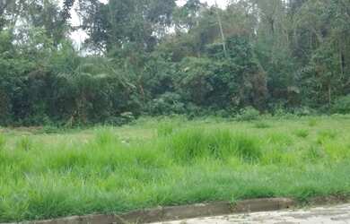 Imagem 3: Caraguatatuba - Terreno Padrão - Jardim das Gaivotas