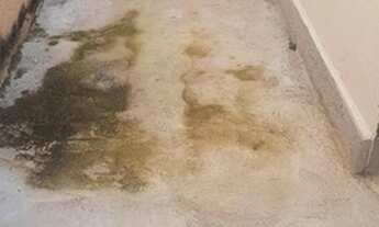 Imagem 2: Rio de Janeiro - Casa Padrão - Bangu