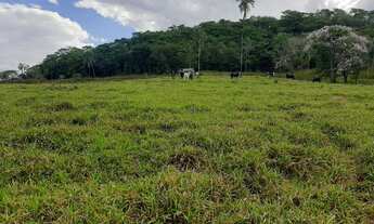 Imagem: Fazenda 30 Alqueires próx Itaberaí