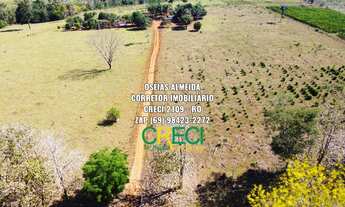 Imagem 4: 18.2 Alqueires Escriturada Machadinho-RO