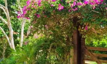 Imagem 2: Chácara em Gravatá - Área total de 2730 m²