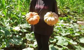 Imagem 4: Sitio Lago Minaçu